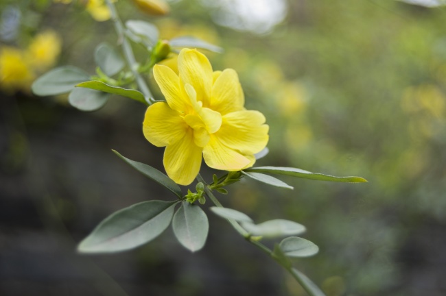 梦到在房子上会有什么预兆