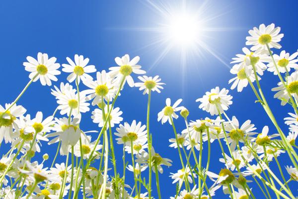 梦见同一个是不是好的征兆呢