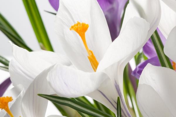 梦到打开手铐是什么兆头