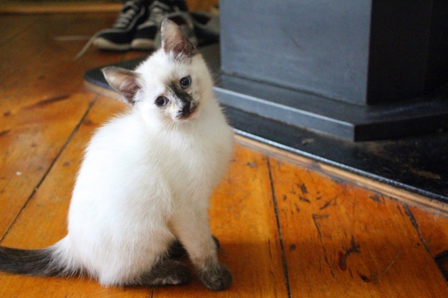 梦见帮别人买鞋是什么意思?