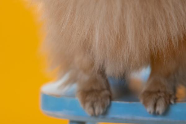 梦见没升职是好的征兆吗