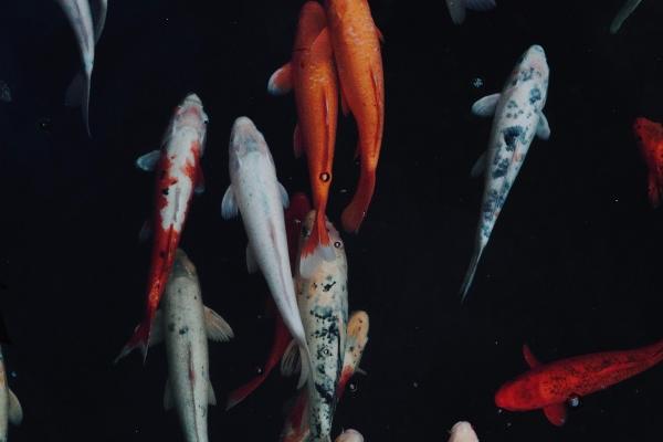 梦到别人给了很多钱是吉兆吗?