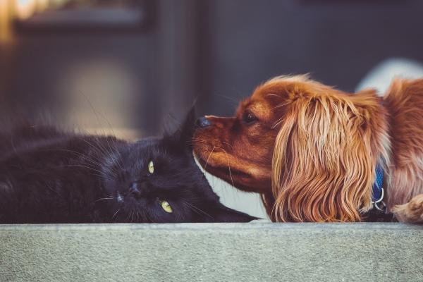 梦见喝海水预示着什么