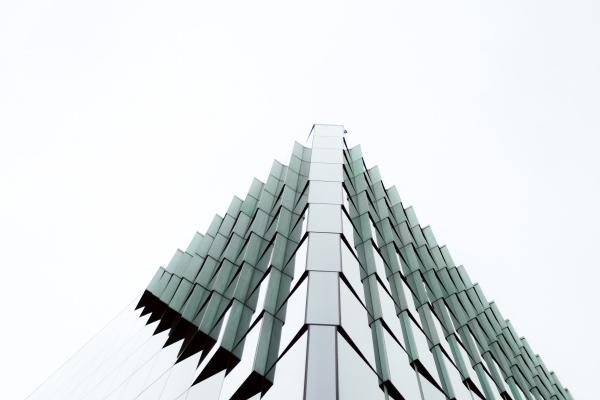 梦到黑色小鱼代表着什么