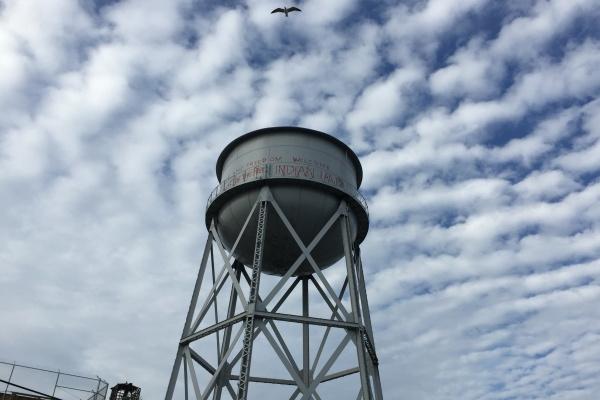 梦到了大胖猫是好的征兆吗