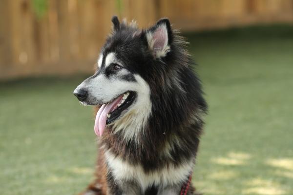 梦到钩到鱼的预兆