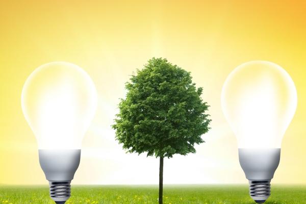 梦到坏学生预示什么