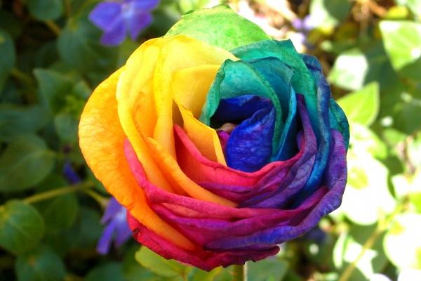 梦见楼房裂开有什么意思吗