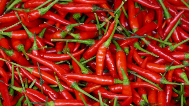 梦到赶尸人有什么意思吗