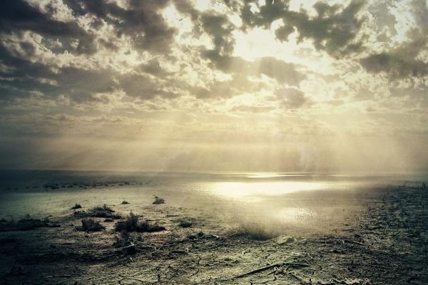 梦到夹鱼意味着什么