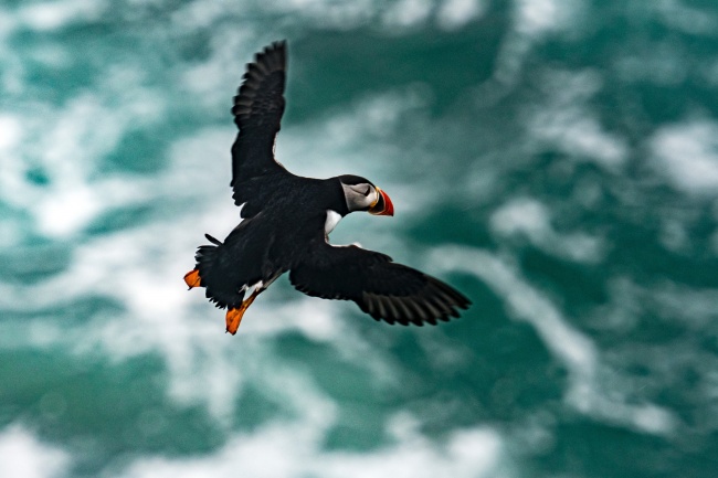 梦见冷水洗澡会怎么样