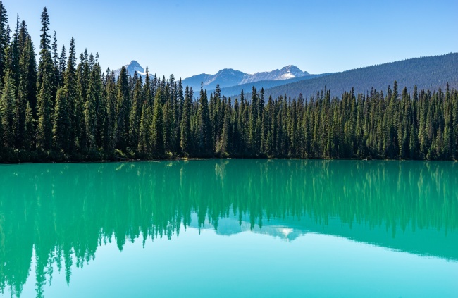 梦见偷蘑菇是好是坏