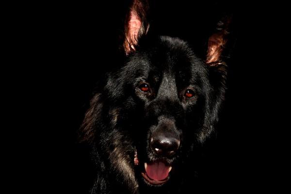 梦见蛇钻肚子有什么意思吗