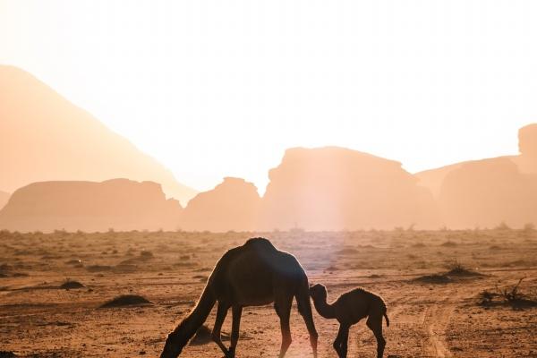 梦到了误船有什么意义吗