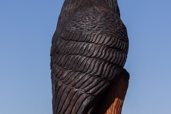 梦到阳了预示什么