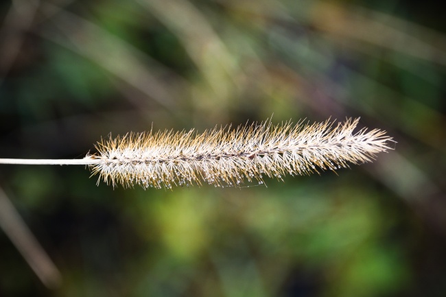 梦到了人死了又复生是什么预兆？