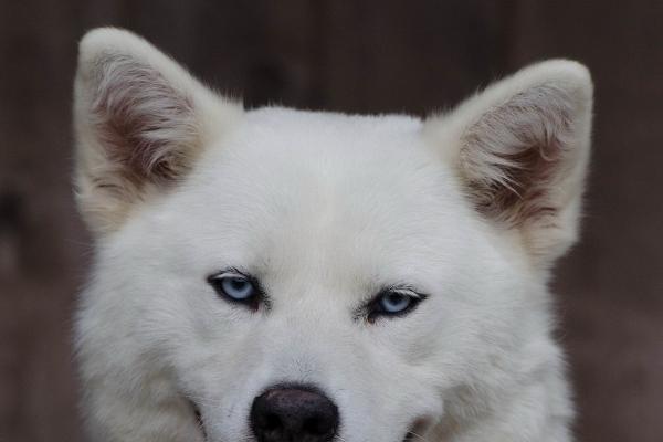 梦到了和女儿走散的预兆