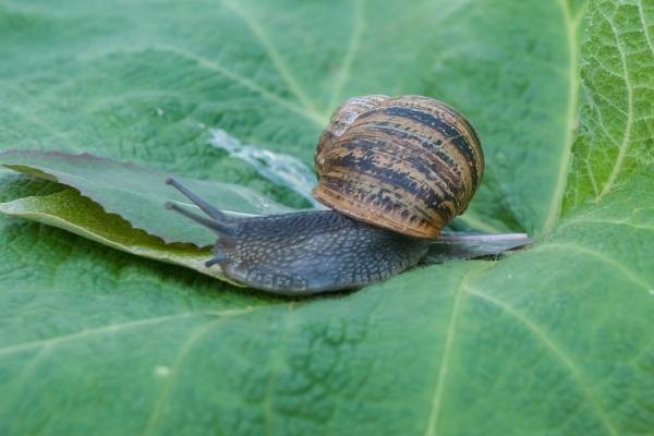 梦到不好的人是怎么回事