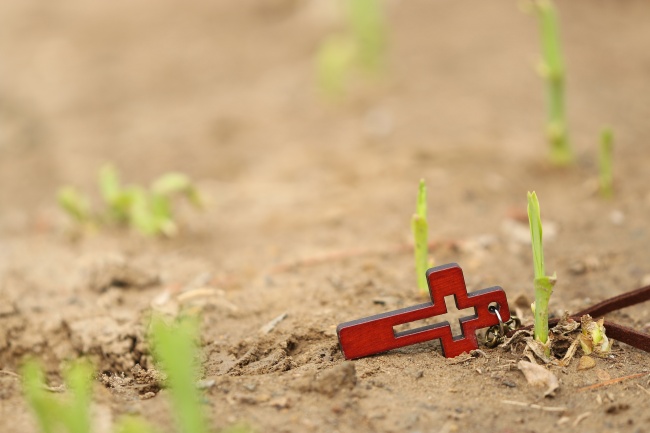 梦到小孩掉悬崖什么预兆