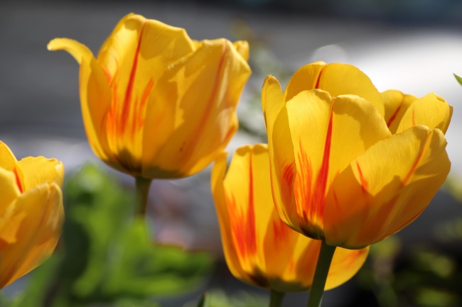 梦到受聘预示着什么