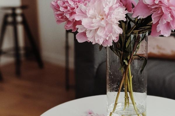 亥时出生什么生肖最好