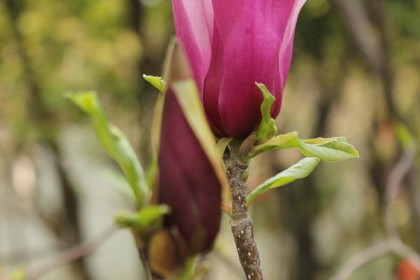 梦到孙子睡觉是什么预兆