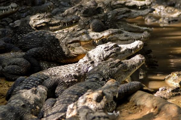 梦见勾针是什么预兆