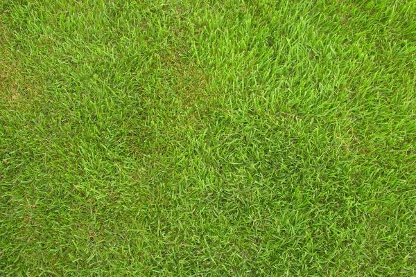 2026属龙的运势和财运