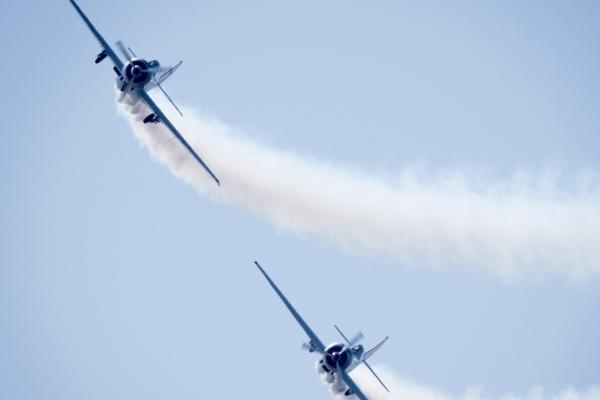 2026年避开几月马