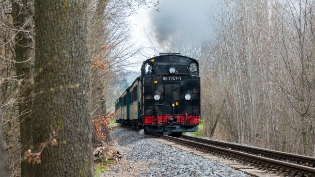 梦到了蹚浑水预兆了什么吗