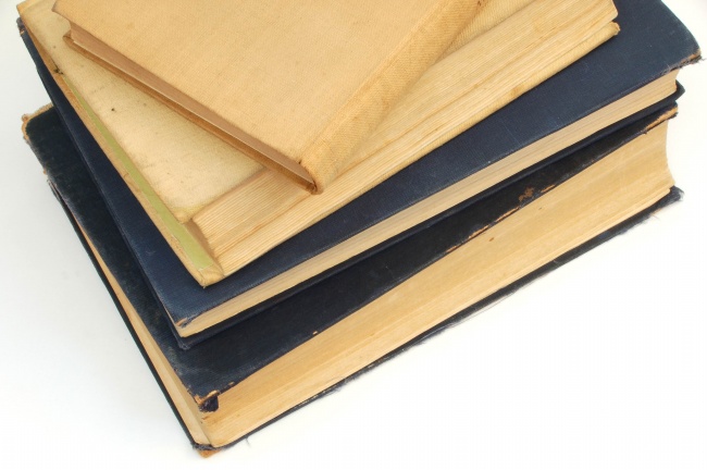 2030富贵狗一般生在几月