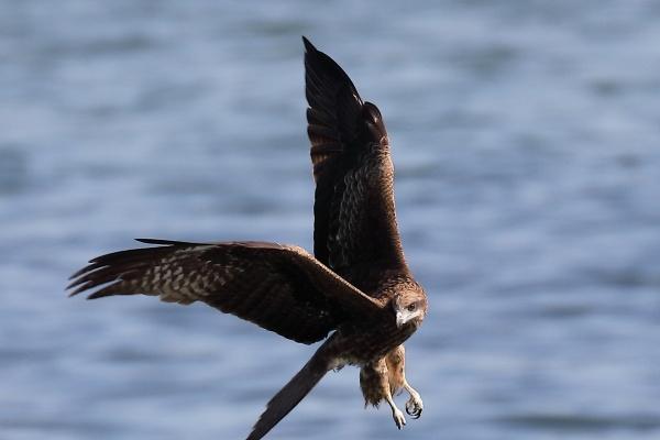 梦见眼镜折了预示什么