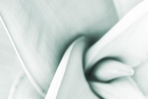 梦到别人介绍男朋友是啥预兆