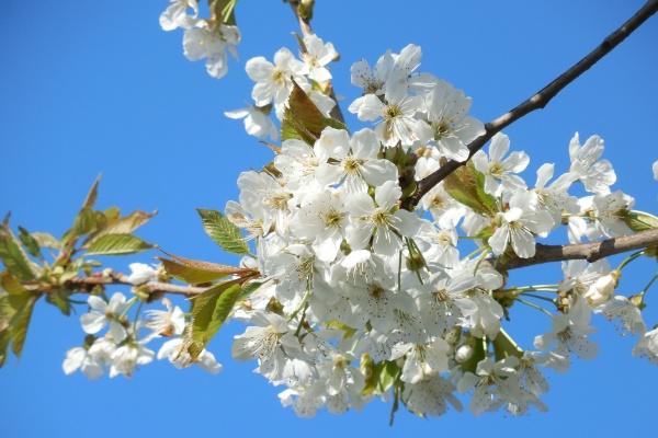梦到 跳舞预示什么