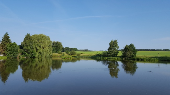 梦到老是初恋代表着什么