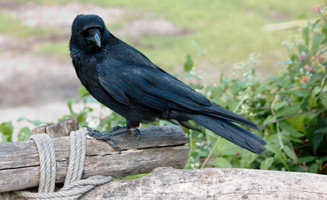 梦见参加演唱会会是什么预兆