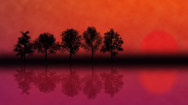 梦到了遇小偷意味着什么