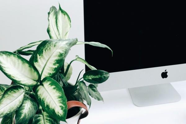 梦到打扫办公室卫生怎么说