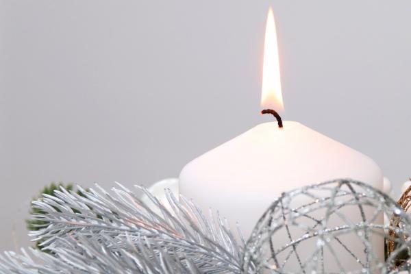 梦到了黄皮果树是什么预兆