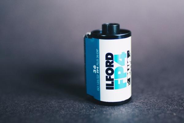 为什么都忌讳属羊的