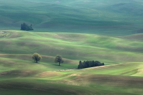 梦到过世的老人批评教育有什么意思