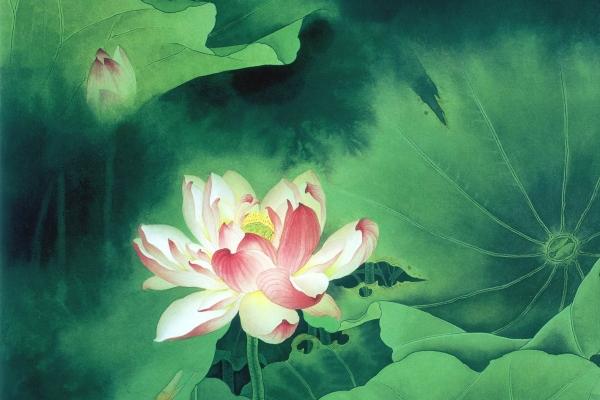 梦到了用药是什么兆头