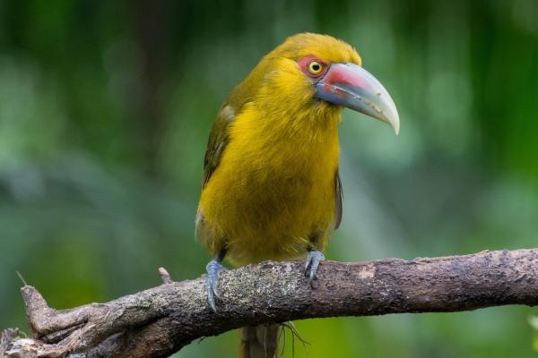 梦到武侠小说意味着什么