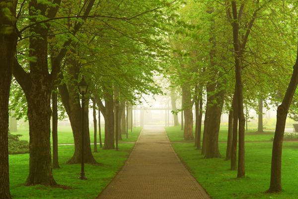 梦到母亲不在怎么样