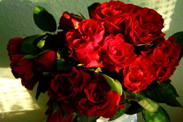 属鼠女为什么惹人怜爱