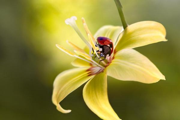 属马90下半年可以换工作吗