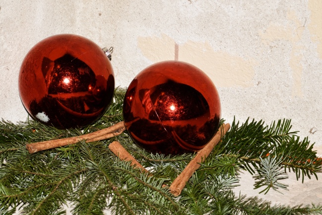 惹到属狗女的下场怎么样