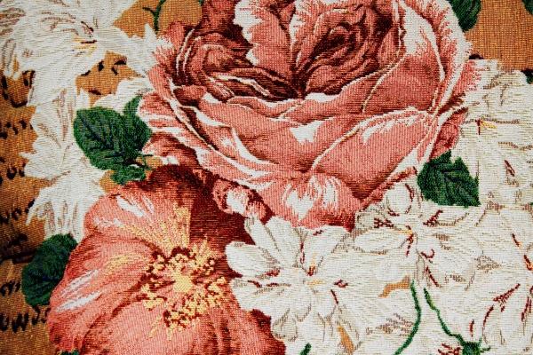 虎和羊谁最聪明厉害