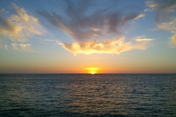 属蛇男2025本命年运势如何