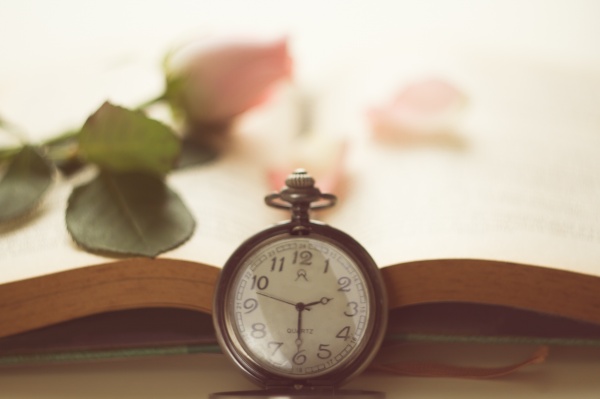 属鸡戴金刚菩提好吗